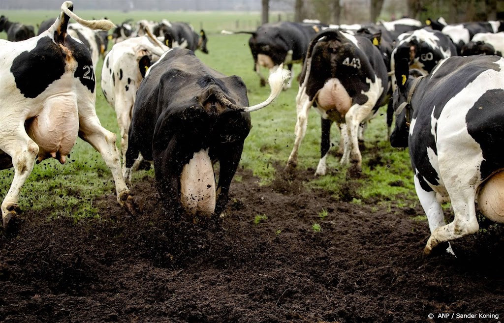 PBL-studie: veel onzekerheid over andere broeikasgassen dan CO2