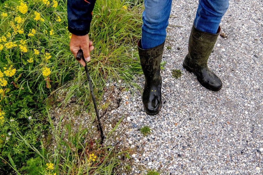 Waterschappen scherp op uitdrogende veendijken