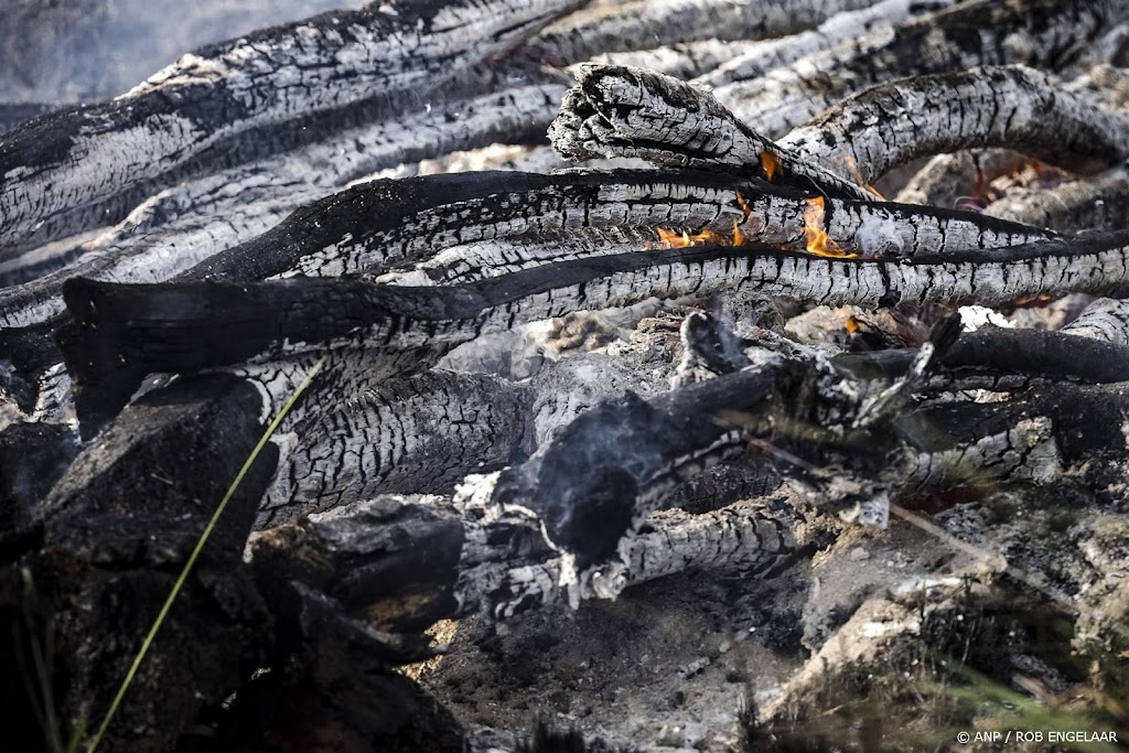 Ook verhoogde kans op brand in natuur bij Den Haag