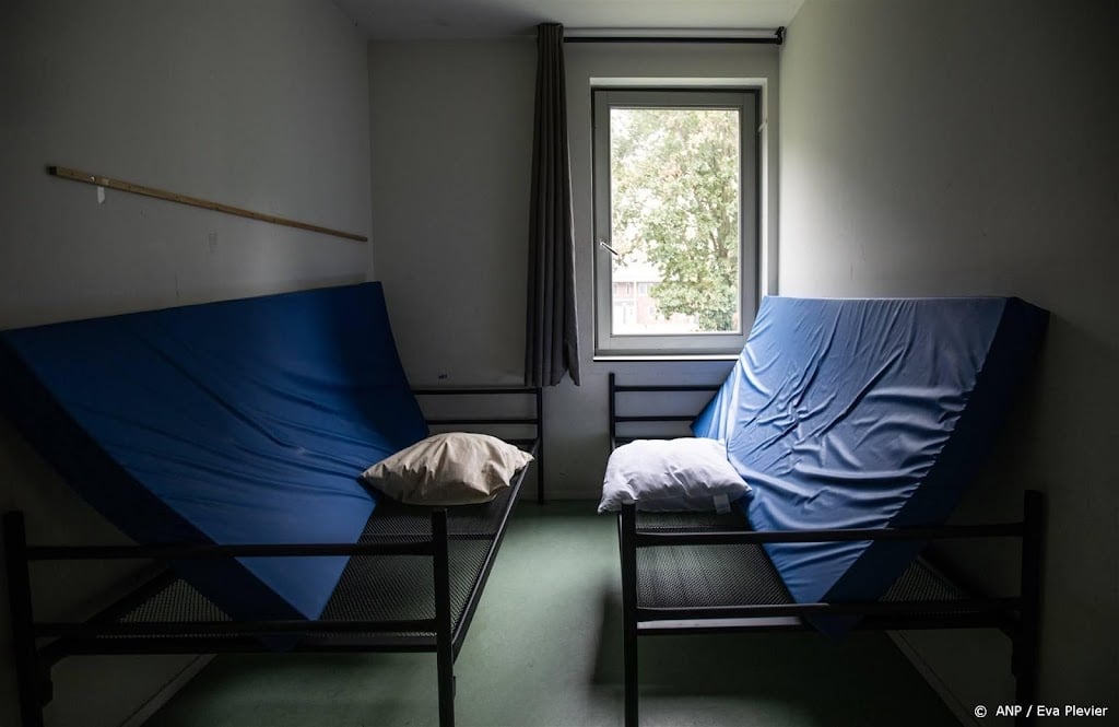 VluchtelingenWerk: kabinet had oordeel RvS moeten afwachten