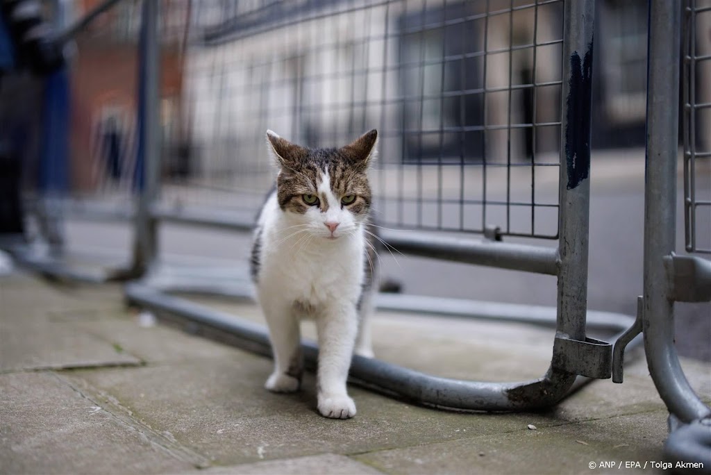 Starmer verkiest kat boven hond voor Downing Street 10