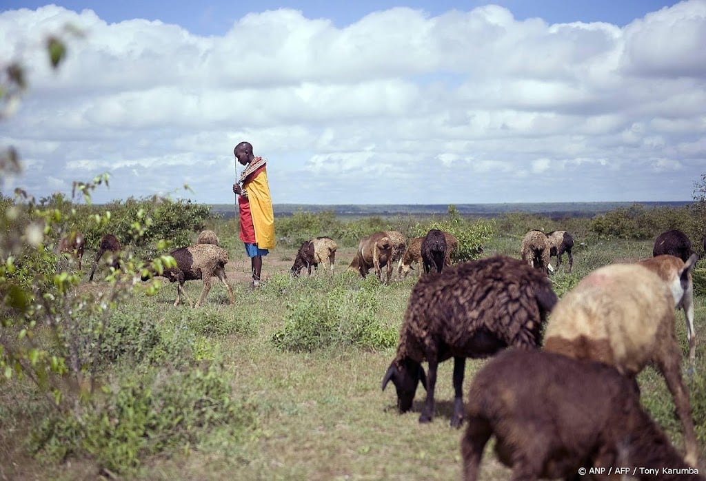 Keniaanse herders vechten CO2-project voor Meta en Netflix aan