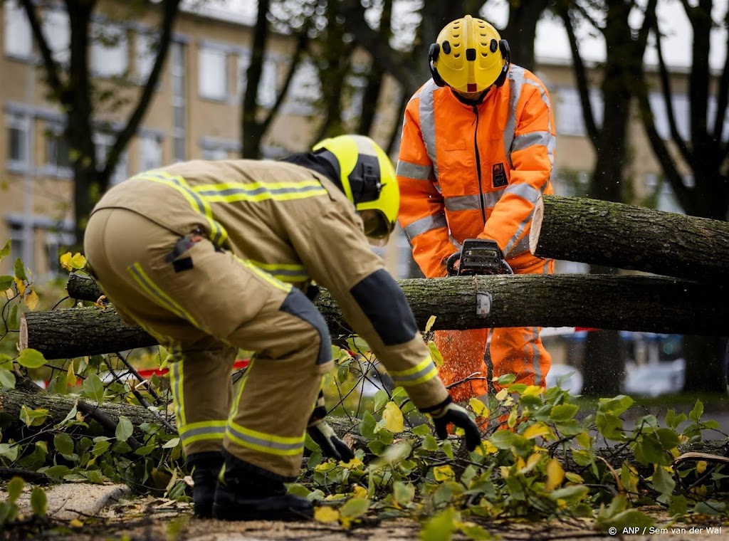 Interpolis: ongeveer 130 particuliere schademeldingen