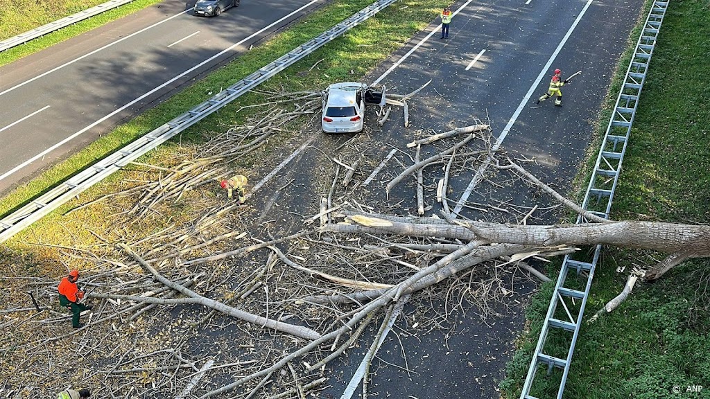 Omgewaaide bomen en takken zorgen voor overlast op de weg 