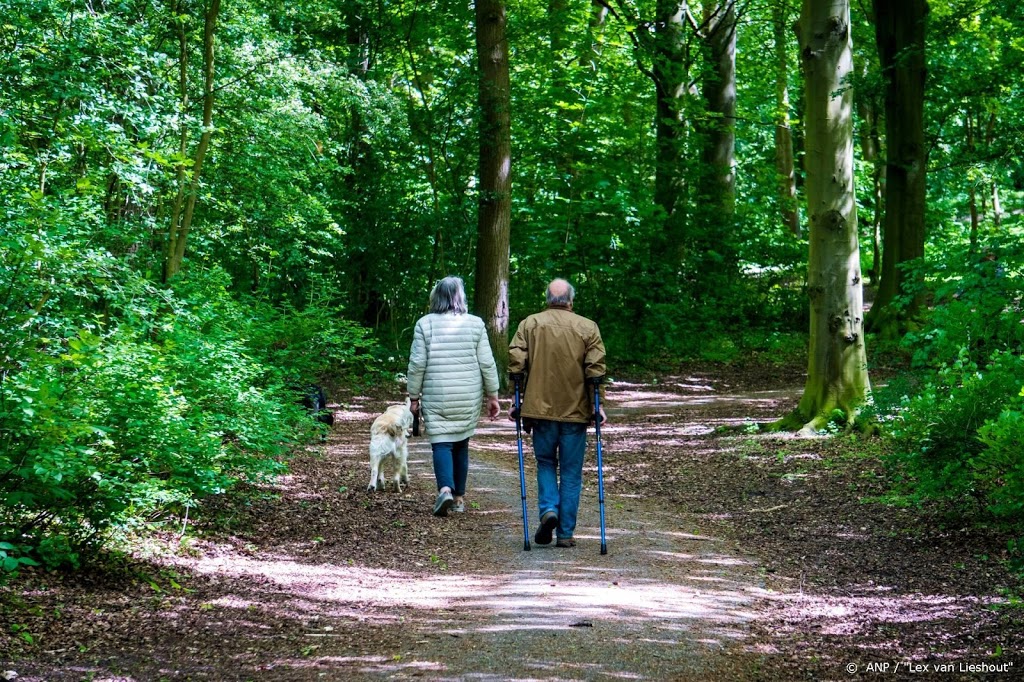 'Kleine bossen belangrijker dan gedacht’