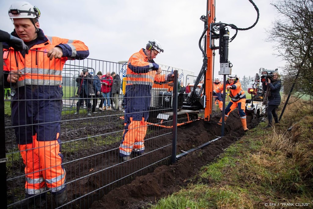 Bouw Deens hek tegen wilde zwijnen is klaar