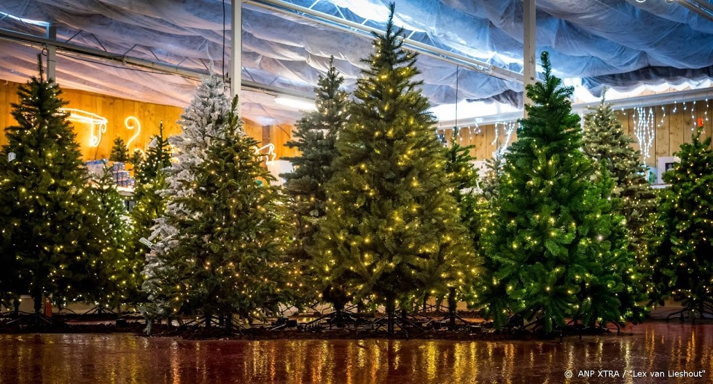 'Kerstboom moet dit jaar groter dan ooit'
