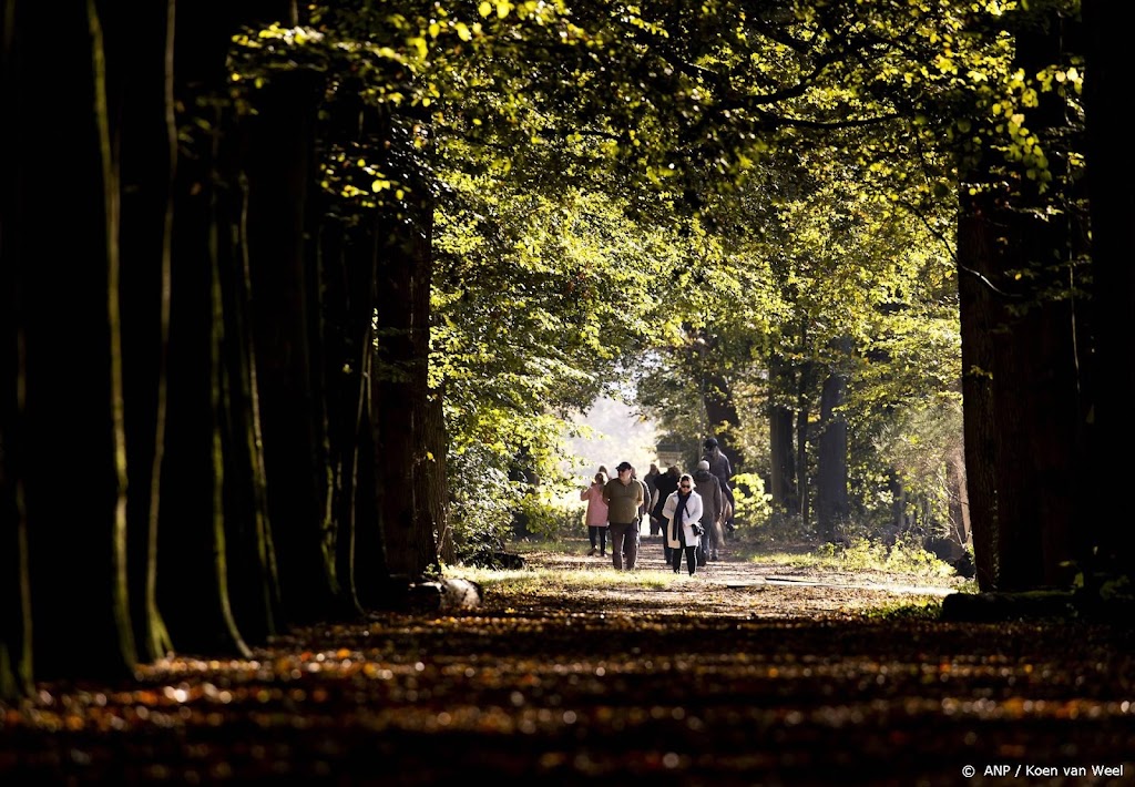 Bosoppervlakte in Nederland verder afgenomen
