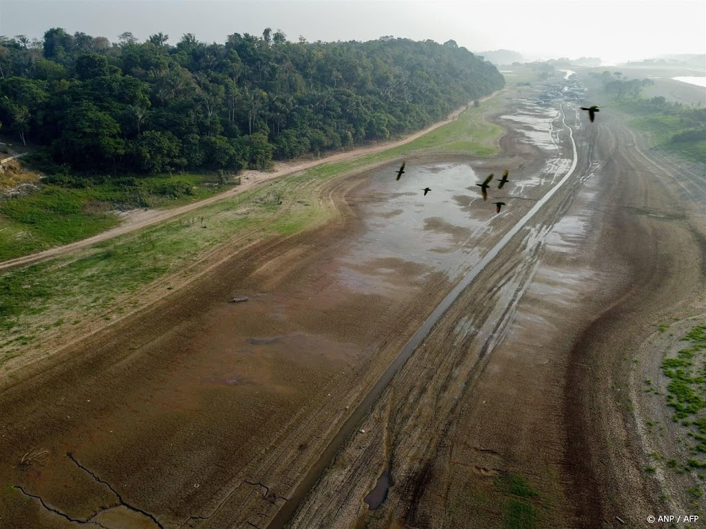 Brazilië investeert fors in herstel regenwoud