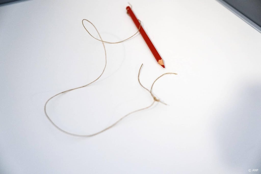 PVV doet in 2026 in 40 gemeenten mee aan lokale verkiezingen