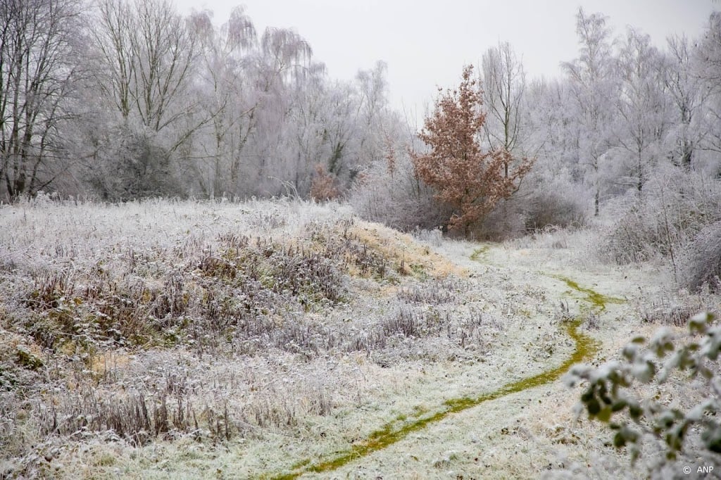 Vorst verdrijft zachte lucht, mogelijk winterweer dit weekend 