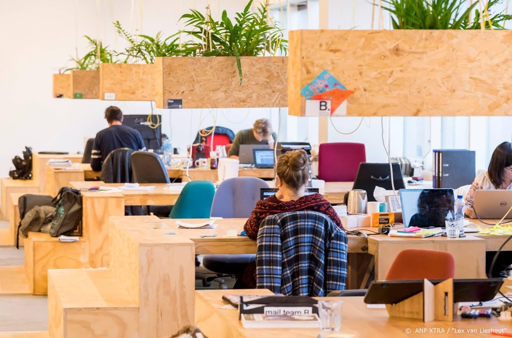 Voorstel: keuzes in verzekering arbeidsongeschiktheid voor zzp'er