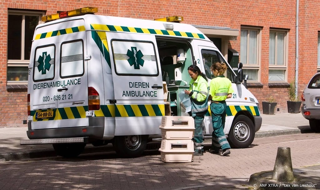 Doos met pythons gevonden op straat in IJsselstein