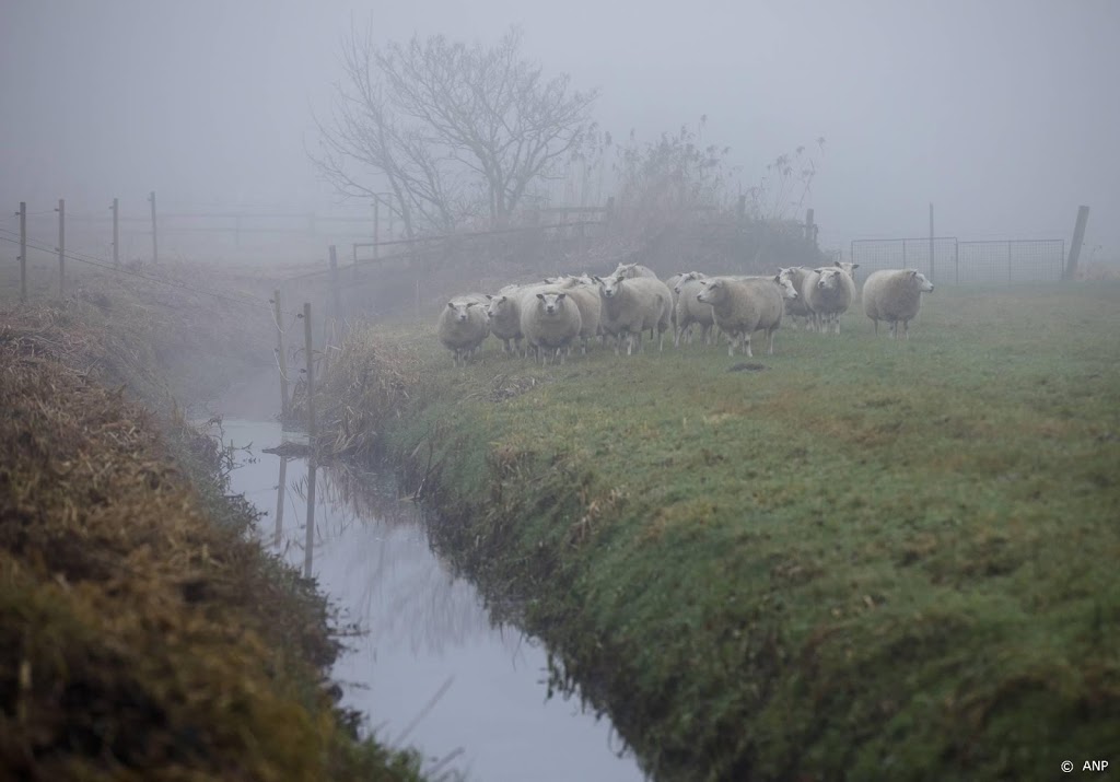 Code geel om lokaal dichte mist in westen en noorden