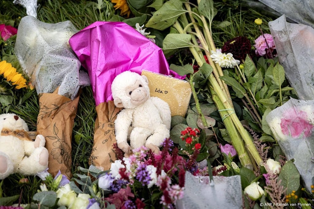 Politiemedewerkers uit hele land zochten informatie over Lisa