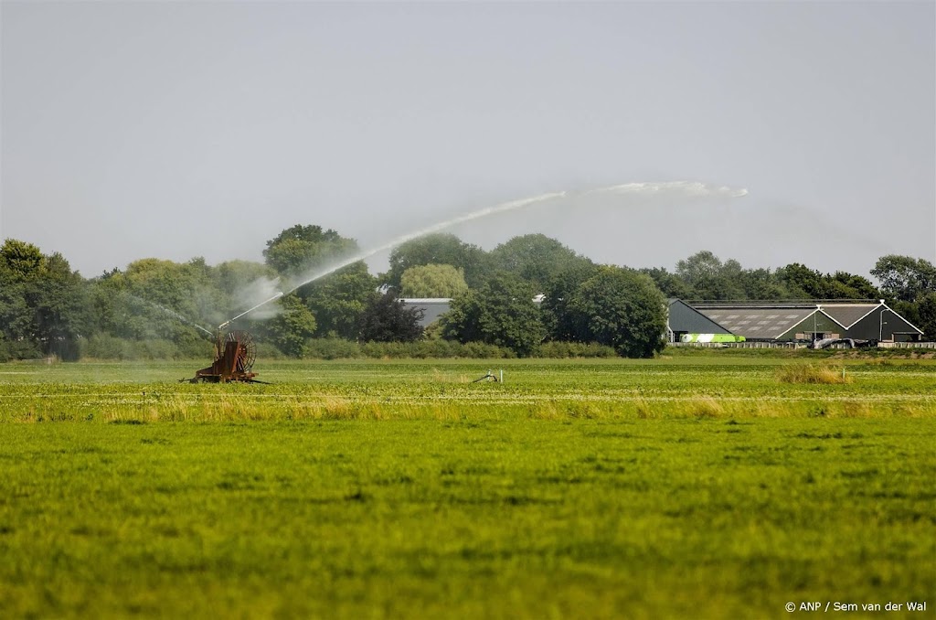 Nieuwe opkoopregeling moet pijn door mestprobleem verlichten