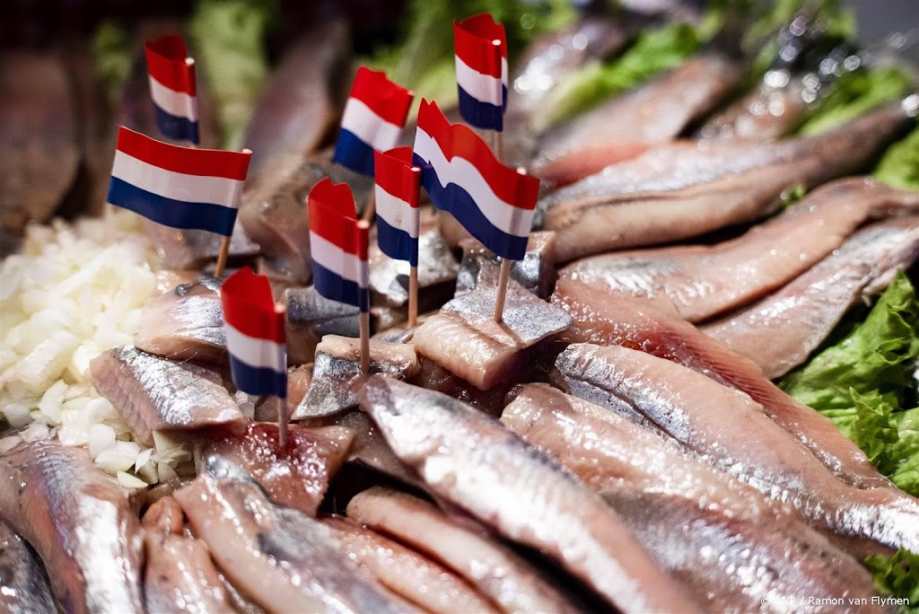 Opbrengst eerste nieuwe haring voor gezond eten voor scholieren
