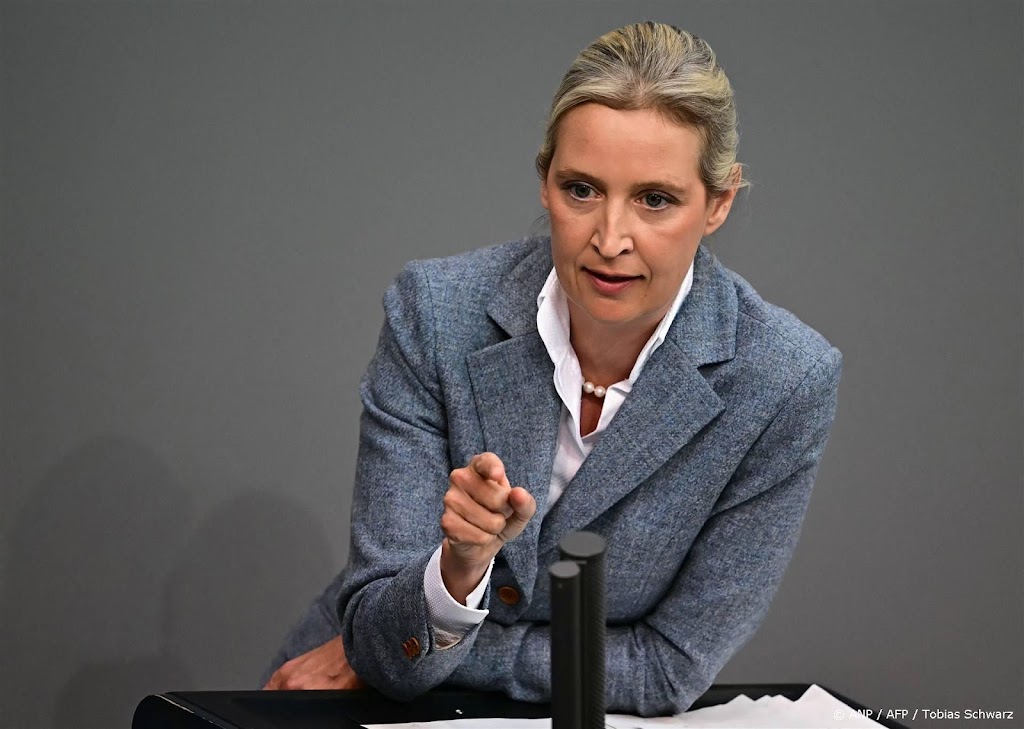 Leider Duitse partij AfD bekritiseert heffingen Trump
