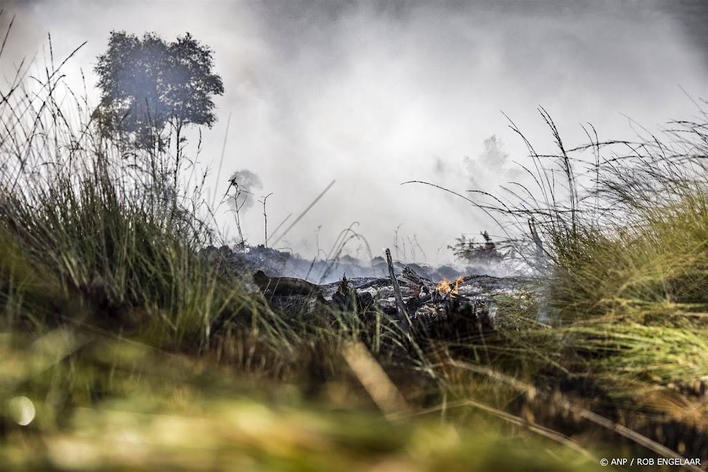 Grote natuurbrand bij Ede, vuur verspreidt zich snel