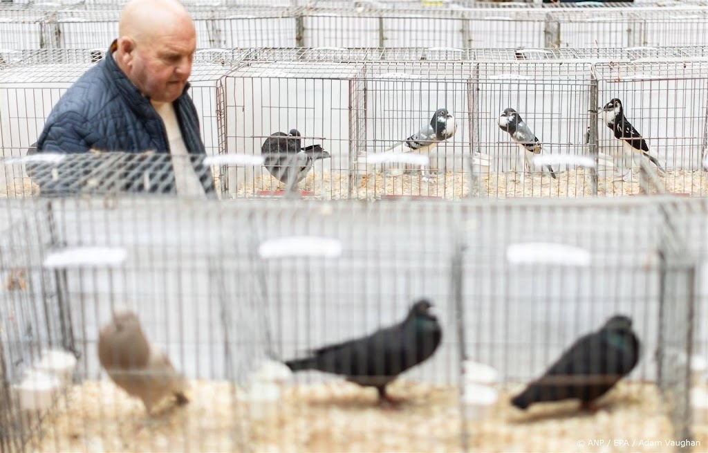 Dierenwelzijn onderdeel van grondwet in België