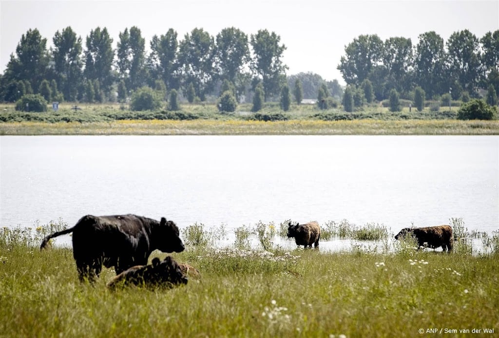 Rijkswaterstaat verwacht geen problemen door hoge waterstanden