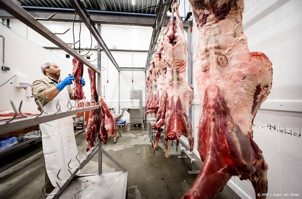 FNV verwelkomt verbod op uitzendkrachten in vleessector