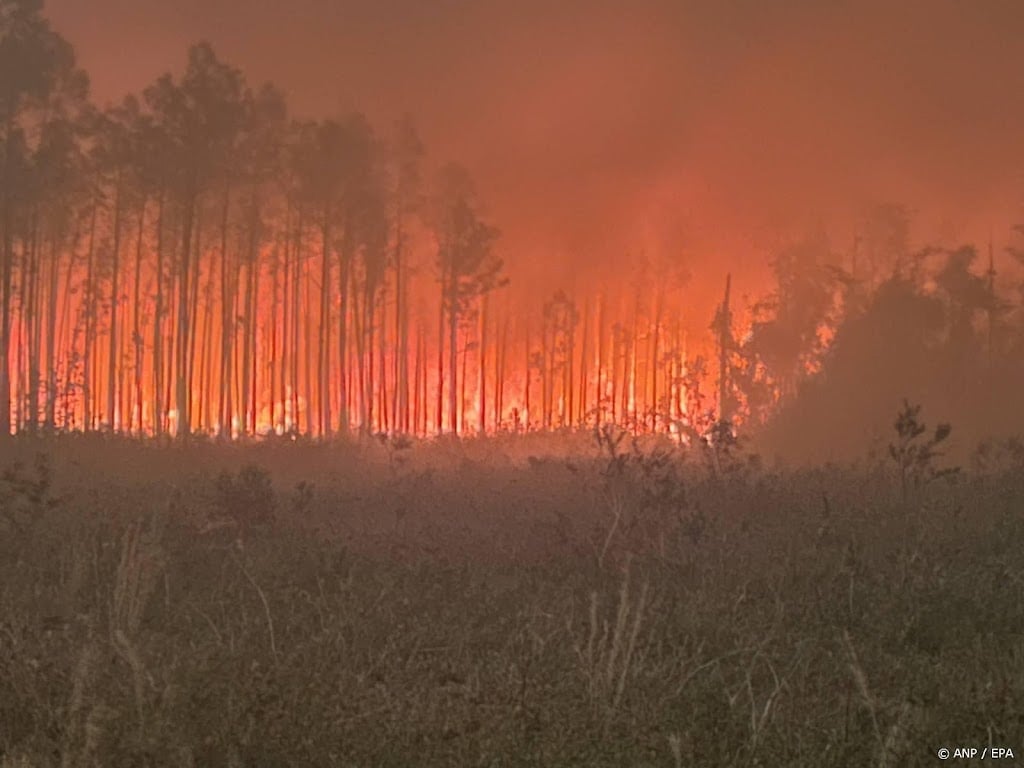 Natuurbranden verwoesten honderden gebouwen in staat Washington