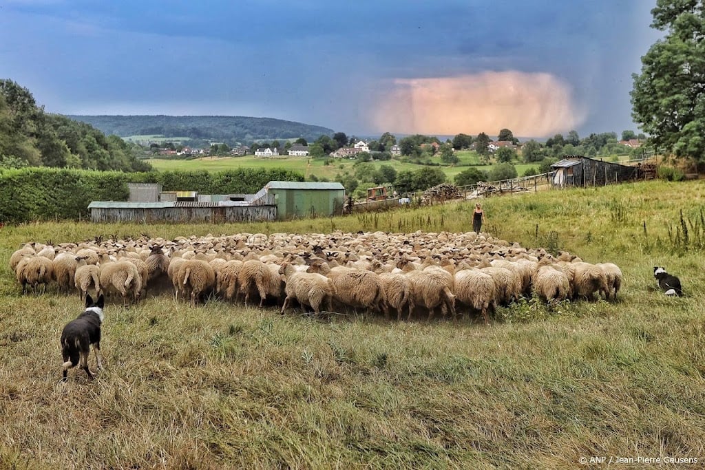 KNMI waarschuwt voor onweersbuien en windstoten in Limburg