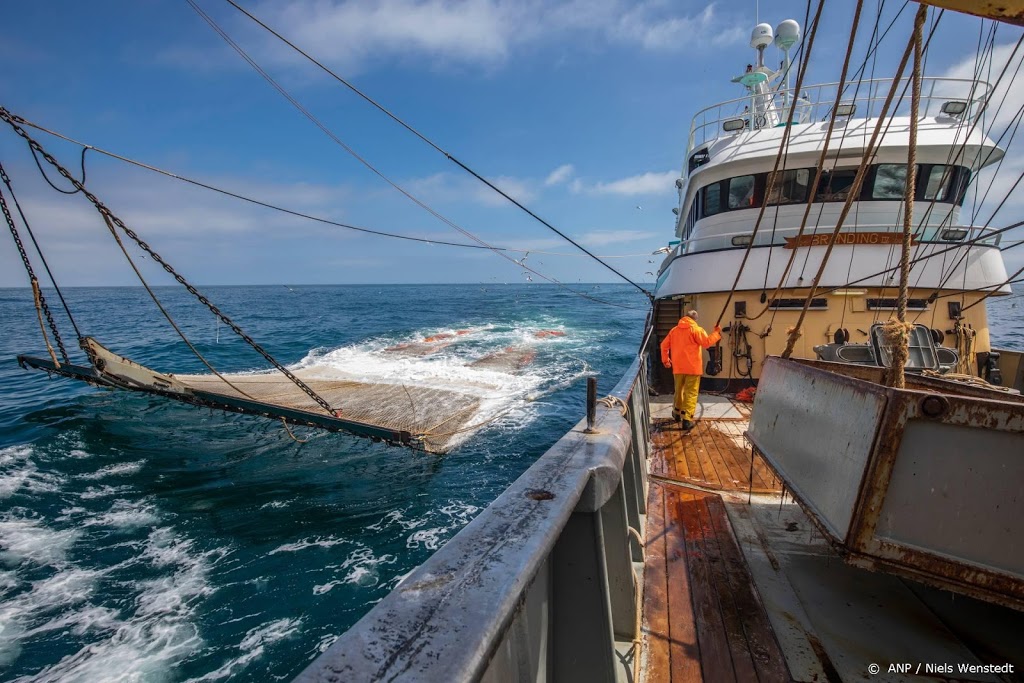 Visverwerkers willen meepraten over toekomst visserij op Noordzee