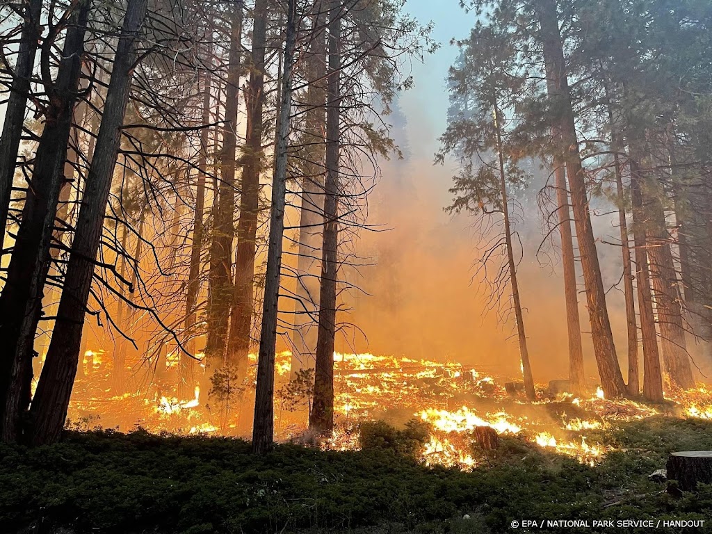 Bosbrand jaagt duizenden Californiërs huis uit