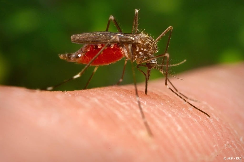 RIVM meldt negen besmettingen met westnijlvirus in Nederland