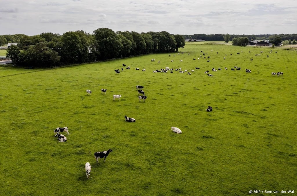 PBL: verdienmodel voor boer bij natuurgebied niet altijd haalbaar