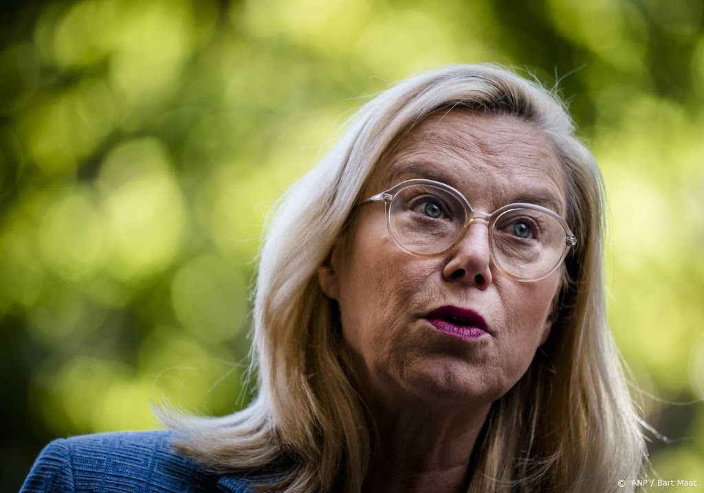 Kaag mild over Duitse miljardensteun voor lagere gasprijs