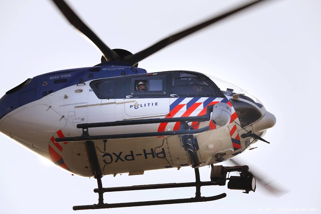 Autodief na achtervolging opgepakt in Driebergen