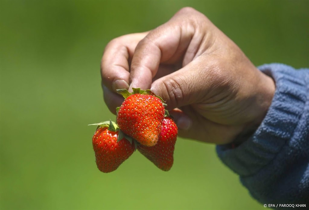Bio-sector wil verplichte etikettering voor gmo van voedsel