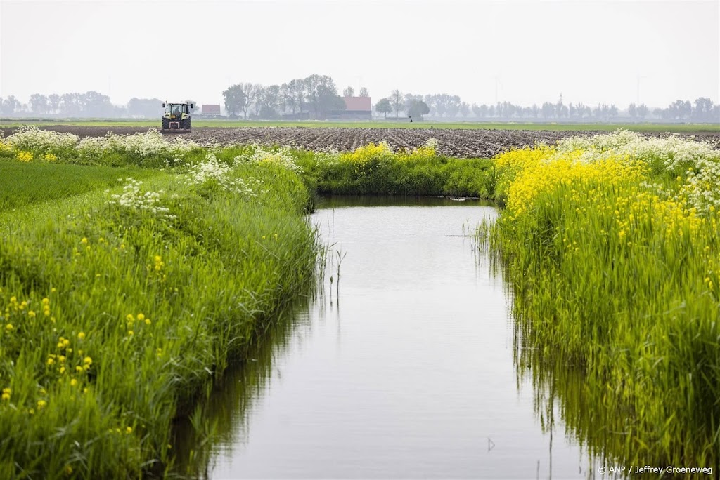 Meer aandacht voor perspectief nodig in klimaatbeleid, zegt SER