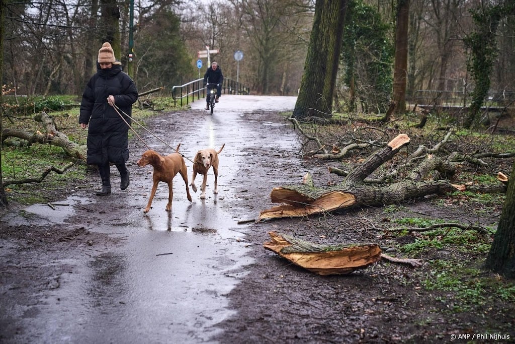 Zaterdag code geel in westen wegens verwachte zware windstoten 