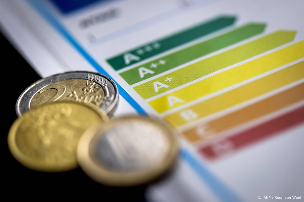 Experts zien in vergroening bedrijven dé weg uit energiecrisis