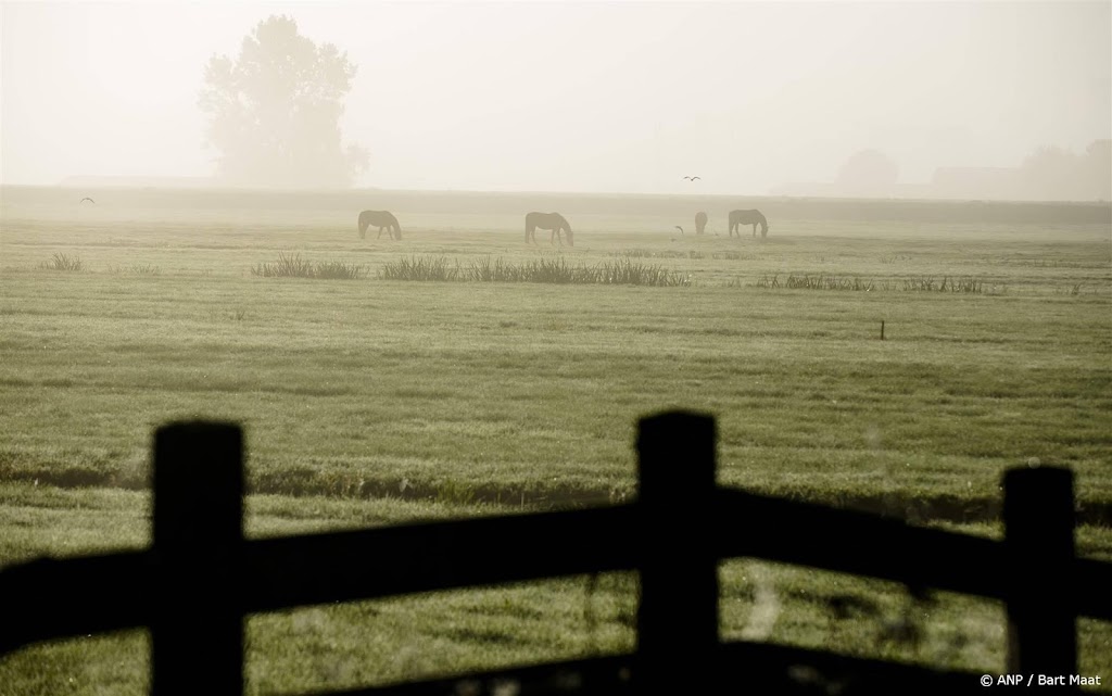 Week met zon, mist en lokaal ook motregen in aantocht