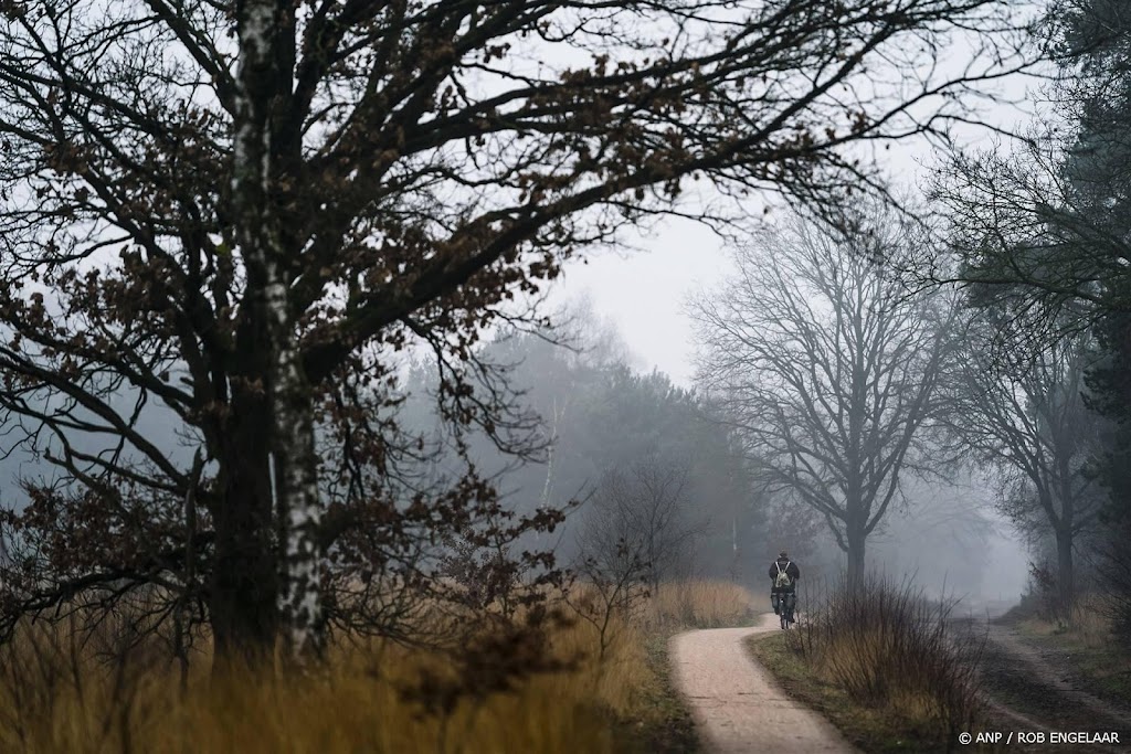 KNMI waarschuwt voor dichte mist in de zuidelijke provincies