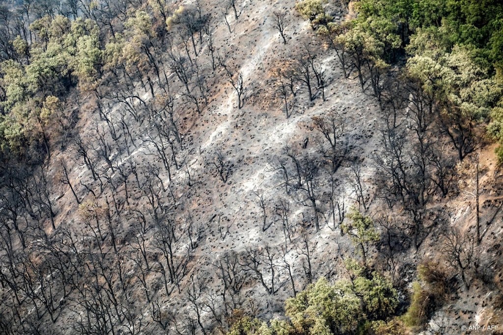 Studie over economische klimaatschade ingetrokken wegens fouten
