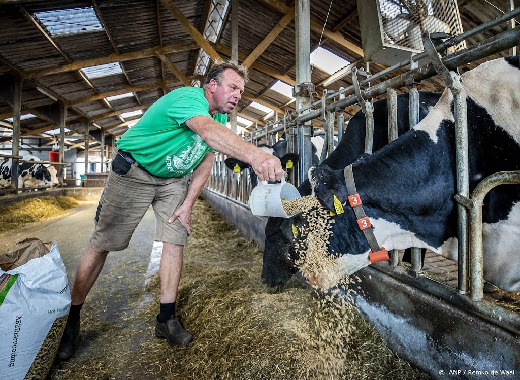 'Overheid moet veebedrijven dwingen uitstoot te verminderen'