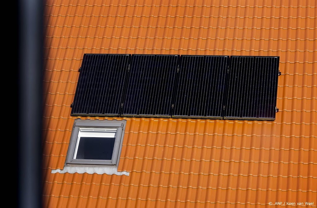 'Geld alleen gaat niet helpen tegen overvol elektriciteitsnet'