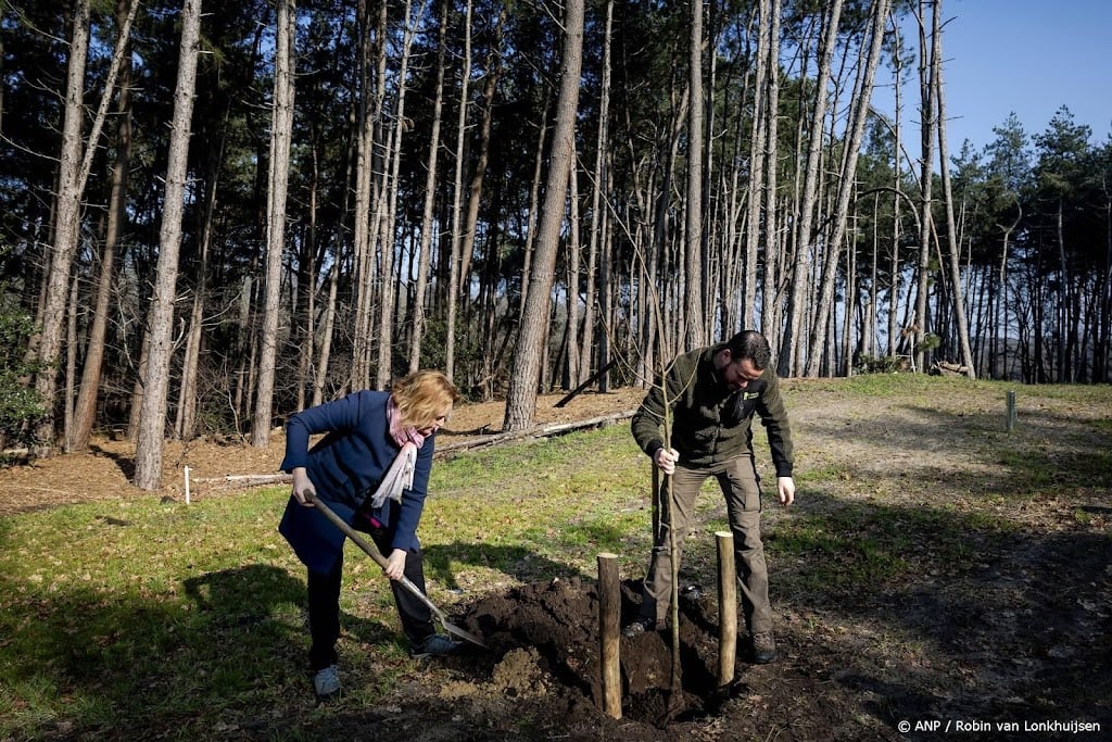 Schoonmaak voormalige drugsafvalput bij Halsteren stopt