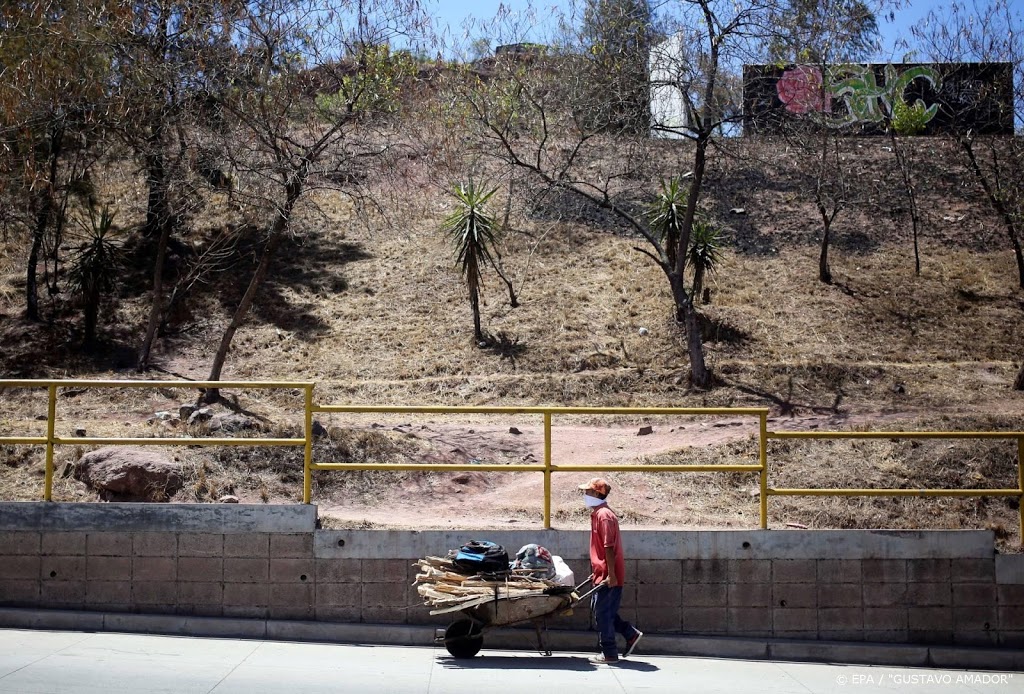 Regering Honduras zoekt land voor massagraven