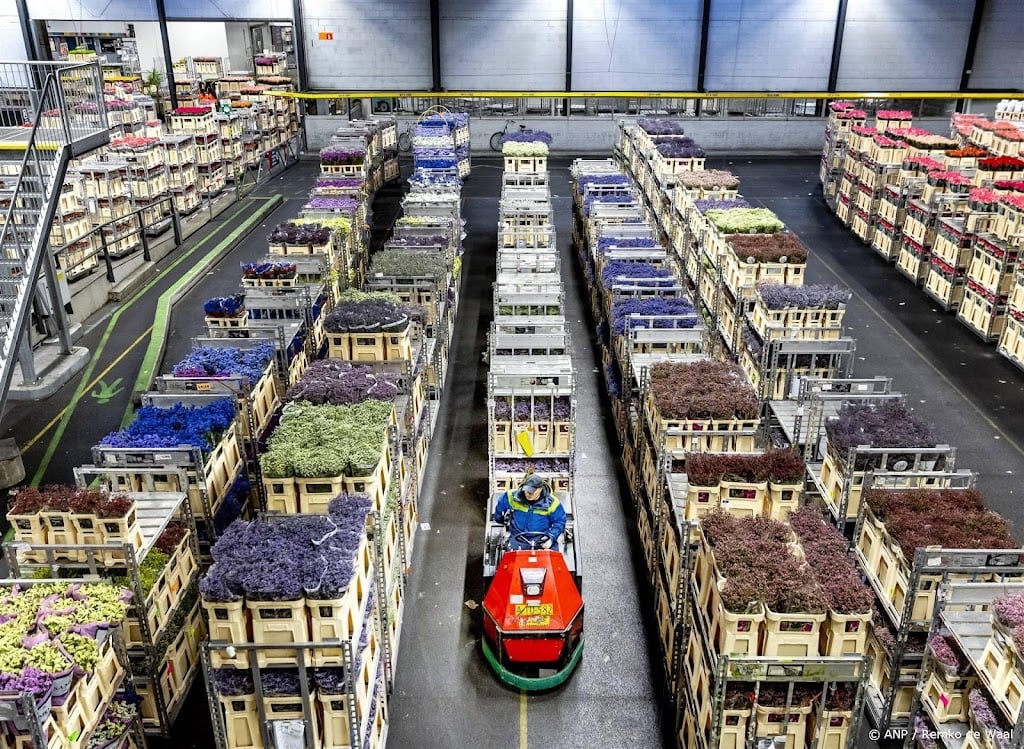 Royal FloraHolland weer winstgevend, duurdere bloem stuwt omzet