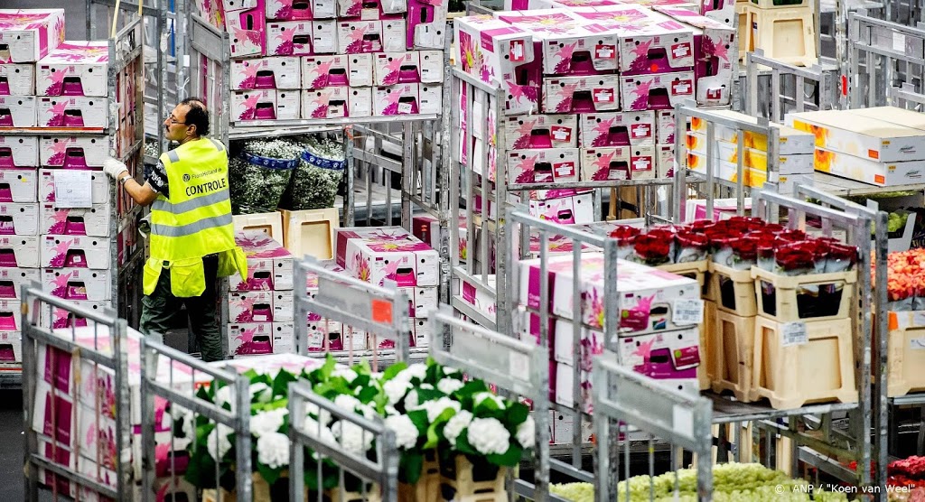 Productie Nederlandse industrie gekelderd door coronacrisis