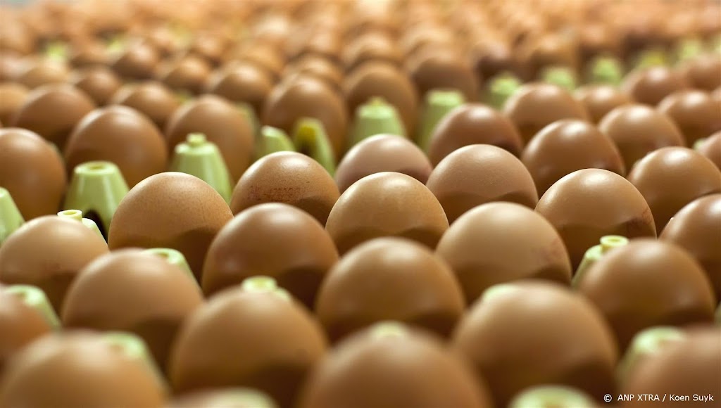 OM rekent Gelders bedrijf dode bij salmonellabesmetting aan 
