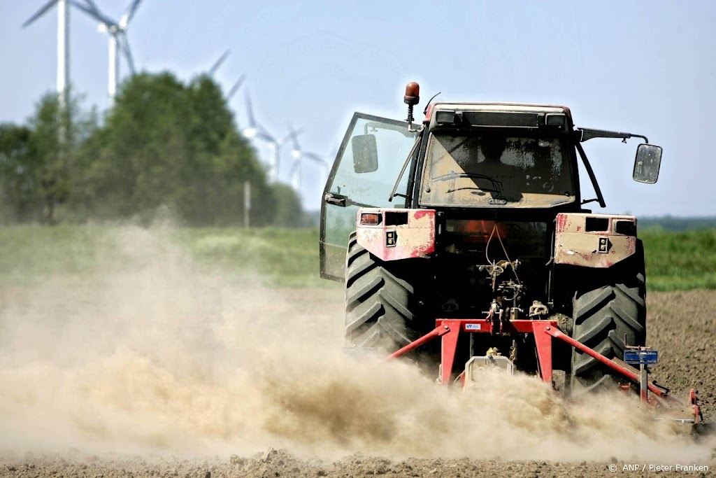 Zeeuwse ui heeft snel water nodig, hogere prijzen onvermijdelijk