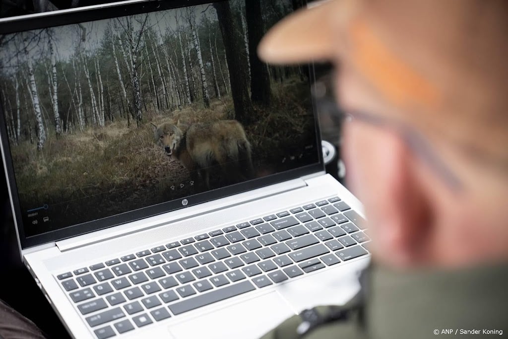 Waarschuwingsborden op Utrechtse Heuvelrug om wolf: mijd het bos